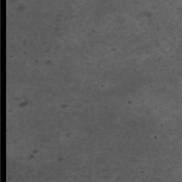 Meet your Posher, Austyn - Picture 1 of 1